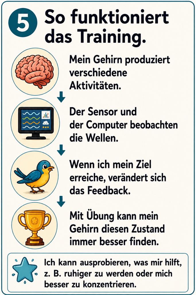 So funktioniert das Training.
Mein Gehirn produziert verschiedene Aktivitäten.
Der Sensor und Computer beobachten die Wellen. Wenn ich mein Ziel erreiche, verändert sich das Feedback. Mit Übung kann mein Gehirn diesen Zustand besser finden. Ich kann ausprobieren, was mir hilft z.B. ruhiger zu werden oder mich besser zu konzentrieren.