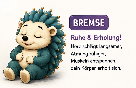 Bremse
Ruhe und Erholung!
Herz schlägt langsamer, Atmung ruhiger, Muskeln entspannen, dein Körper erholt sich.
