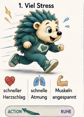 1. Viel Stress
Herz: schneller Herzschlag
Lunge: schnelle Atmung.
Muskeln: Muskeln angespannt
Auf dem Tacho steht der Zeiger auf Action.