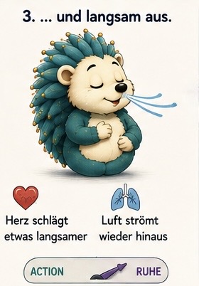 3…. und langsam aus.
Herz: Herz schlägt etwas langsamer
Lunge: Luft strömt wieder hinaus
Tacho steht auf Ruhe.