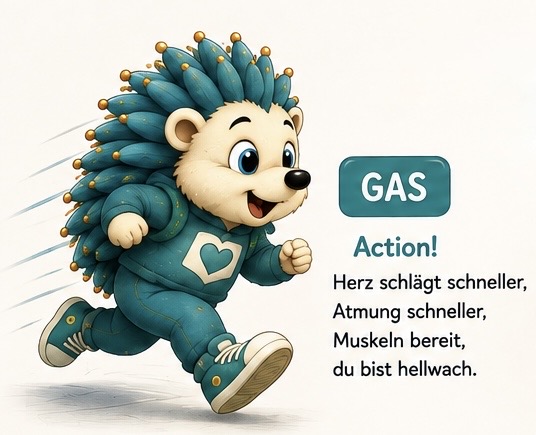 Gas
Action!
Herz schlägt schneller, Muskeln bereit, du bist hellwach
