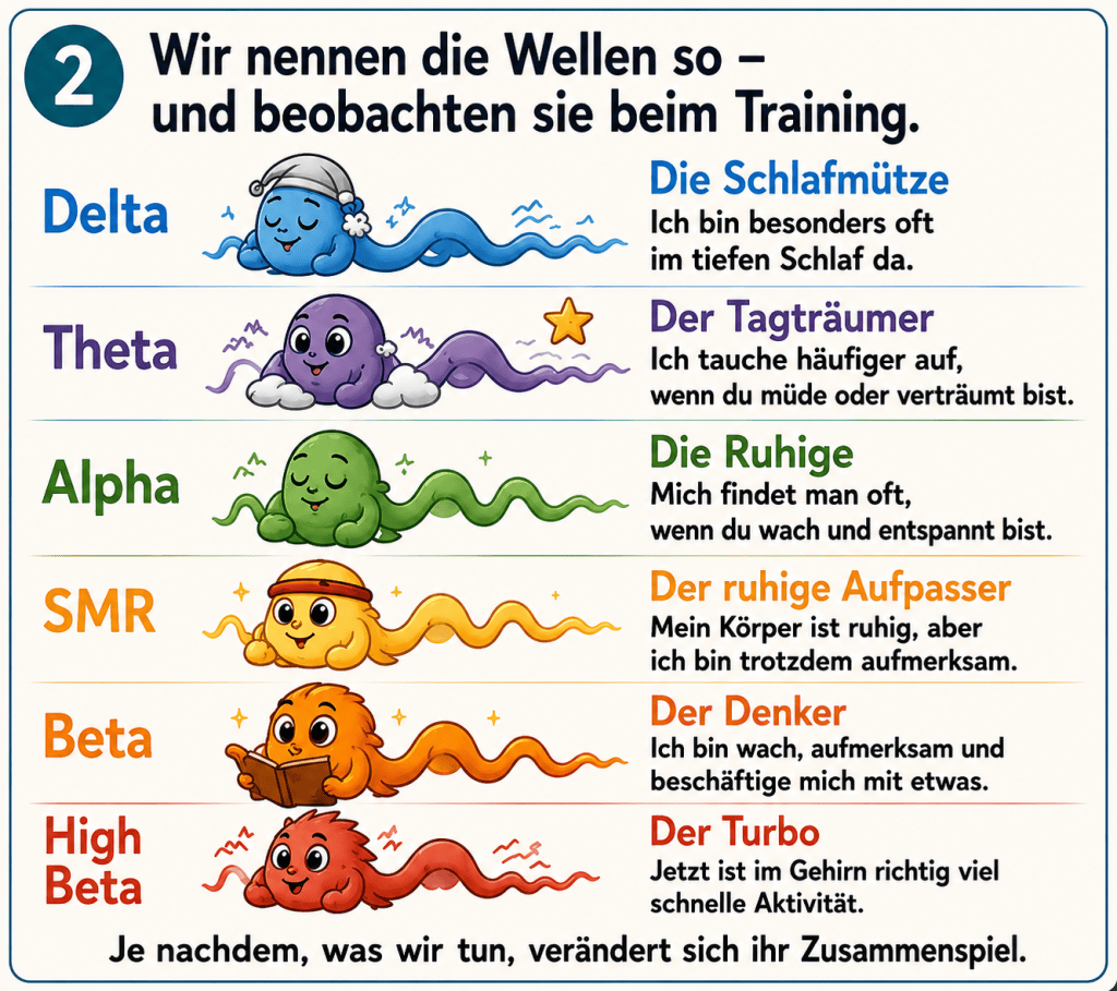 Wir nennen die Wellen so und beobachten Sie beim Training.
Delta eine blaue Welle mit einer Schlafmütze.“ Ich bin besonders oft im tiefen Schlaf da.“
Theta eine Lila Welle auf Wolken. Der Tagträumer:“ ich tauche häufiger auf, wenn du müde oder verträumt bist.“
Alpha eine grüne Welle sieht entspannt aus. Die Ruhige:“ mich findet man oft, wenn du wach und entspannt bist.
SMR eine gelbe mit rotem Stirnband. Der ruhige Aufpasser:“ Mein Körper ist ruhig, aber ich bin trotzdem aufmerksam.
Beta eine orangefarbene Welle, die ein Buch liest. Der Denker:“ Ich bin wach aufmerksam und beschäftige mich mit etwas.
High Beta der Turbo
Jetzt ist im Gehirn richtig viel schnelle Aktivität.
Je nachdem, was wir tun, verändert sich ihr Zusammenspiel.
