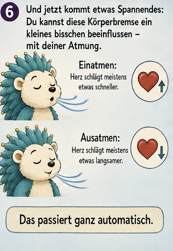 6 und jetzt kommt etwas spannendes: Du kannst diese körperbremse ein bisschen beeinflussen - Mit deiner Atmung.
Einatmen Herz schlägt meistens etwas schneller.
Ausatmen Herz schlägt meistens etwas langsamer.
Das passiert ganz automatisch.