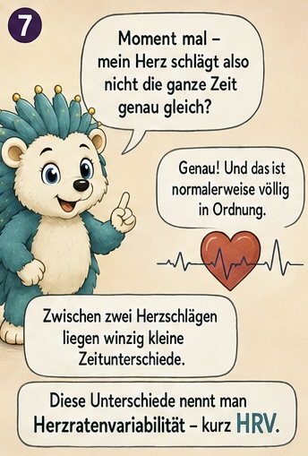 7 Moment mal - Mein Herz schlägt also nicht die ganze Zeit genau gleich?
Genau! Und das ist normalerweise völlig in Ordnung.
Zwischen zwei Herzschlägen liegen winzig kleine Zeitunterschiede.
Diese Unterschiede nennt man Herzratenvariabilität - Kurz HRV.