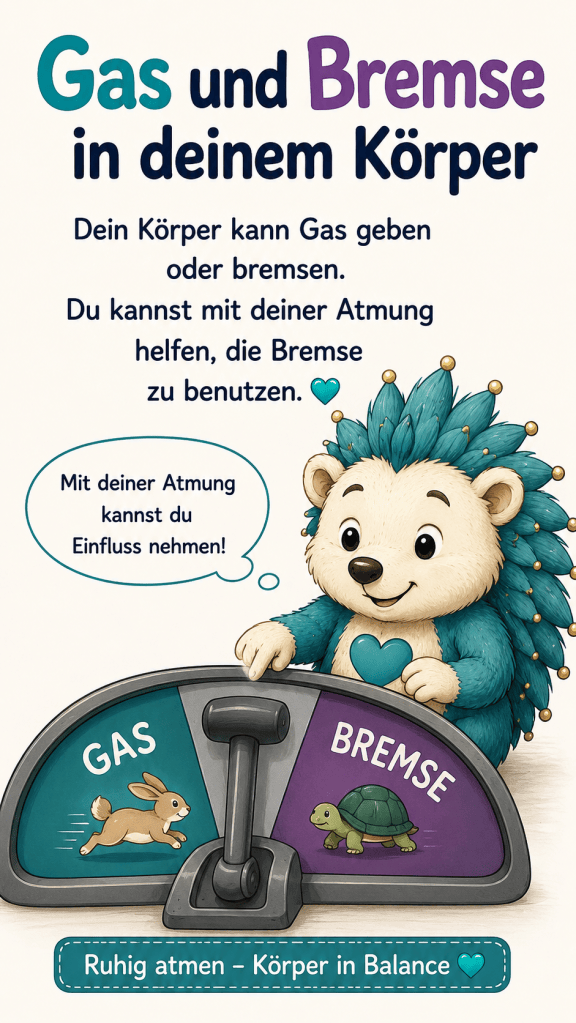 Gas und Bremse in deinem Körper
Dein Körper kann Gas geben oder bremsen
Du kannst mit deiner Atmung helfen, die Bremse zu benutzen.
Mit Atmung kannst du Einfluss nehmen!
Ein Tacho und ein Gashebel 