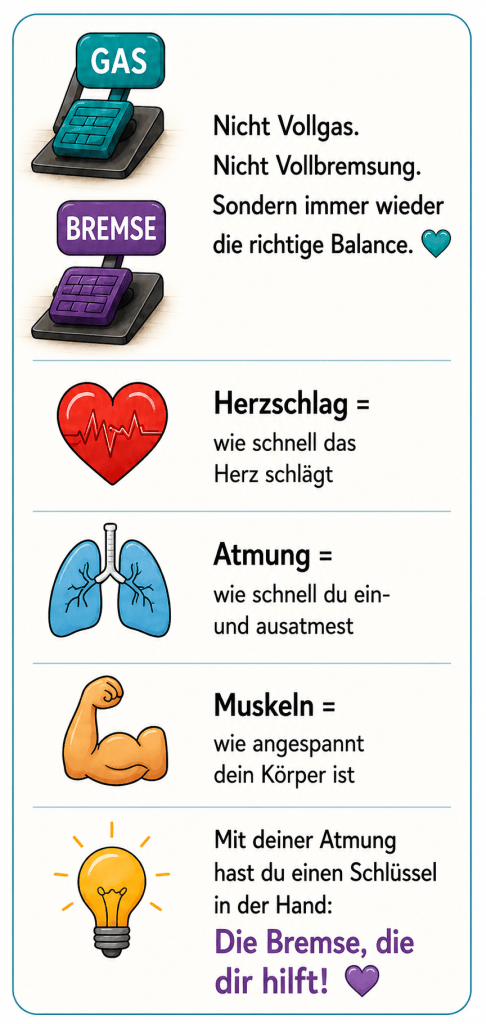 Gas und Bremse
Nicht Vollgas.
Nicht Vollbremsung.
Sondern immer wieder die richtige Balance
Herzschlag, wie schnell das Herz schlägt. 
Atmung, wie schnell du ein und ausatmest.
 Muskeln wie angespannt dein Körper ist
Mit deiner Atmung hast du einen Schlüssel in der Hand: die Bremse, die dir hilft.
