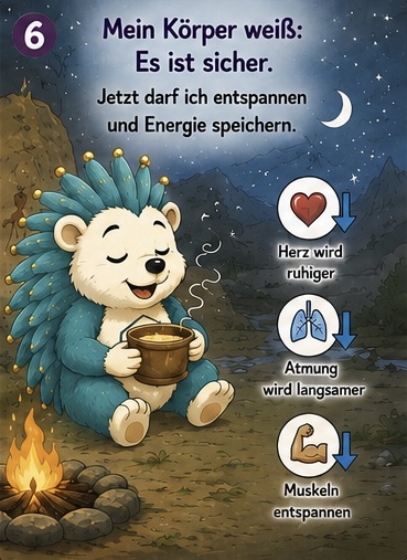 6. Mein Körper weiß:
Es ist sicher.
Jetzt darf ich entspannen und Energie speichern.
Herz wird ruhiger.
Atmung wird langsamer.
Muskeln entspannen
