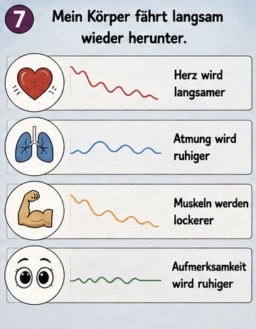 7. mein Körper fährt langsam wieder herunter.
Herz wird langsamer.
Atmung wird ruhiger
Muskeln werden lockerer.
Aufmerksamkeit wird ruhiger.