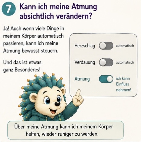 Kann ich meine Atmung absichtlich verändern?
Ja, auch wenn viele Dinge in meinem Körper automatisch passieren, kann ich meine Atmung bewusst steuern. Das ist etwas ganz besonderes Über meine Atmung kann ich meinen Körper helfen, wieder ruhiger zu werden