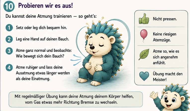 Probieren wir es aus!
Du kannst deine Atmung trainieren – So geht’s:
Setz oder leg dich bequem hin. Leg eine Hand auf deinen Bauch. Atme ganz normal und beobachte. Wie bewegt sich dein Bauch? Atme ruhiger und lass deine Aus Atmung etwas länger werden als deine Einatmung. Nicht pressen. Keine riesigen Atemzüge, Atme, so wie es sich angenehm anfühlt. Übung macht den Meister!
Mit regelmäßige Übung kann deine Atmung deinem Körper helfen, vom Gas etwas mehr Richtung Bremse zu wechseln