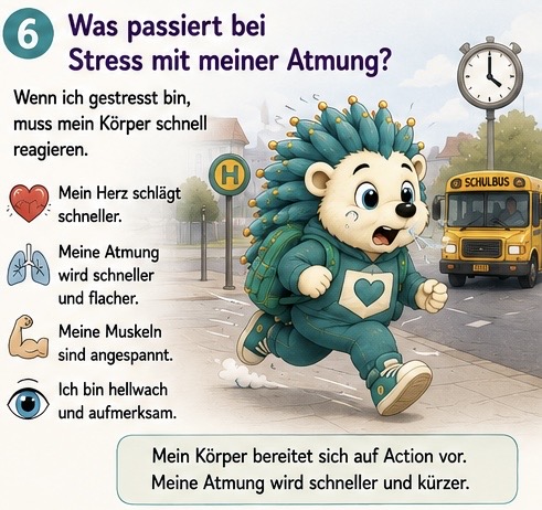 Was passiert bei Stress mit meiner Atmung?
Wenn ich gestresst bin, muss mein Körper schnell reagieren. Mein Herz schlägt schneller Meine Atmung wird flacher. Meine Muskeln sind angespannt. Ich bin hellwach und aufmerksam. Mein Körper bereitet sich auf Aktion vor, meine Atmung wird schneller und kürzer