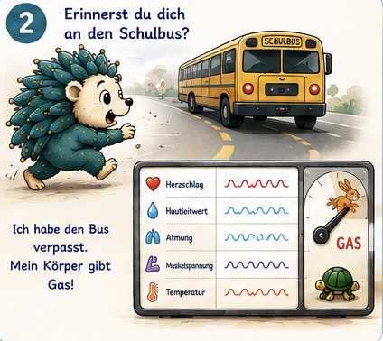 Erinnerst du dich an den Schulbus? Ich habe den Bus verpasst. Mein Körper gibt Gas! Herzschlag Hautleitwert Atmung, Muskelspannung Temperatur