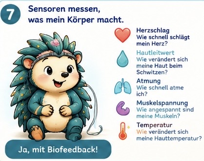 Sensoren messen, was mein Körper macht.
Herzschlag 
Wie schnell schlägt mein Herz?
Hautleitwert 
Wie verändert sich meine Haut beim schwitzen?
Atmung
Wie schnell atme ich?
Muskelspannung
Wie angespannt sind meine Muskeln?
Temperatur.
Wie verändert sich meine Hauttemperatur?
Kann ich denn sehen, was mein Körper macht? Ja, mit Biofeedback